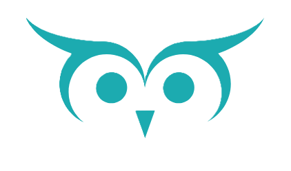 Wise Owls Dyslexia logo